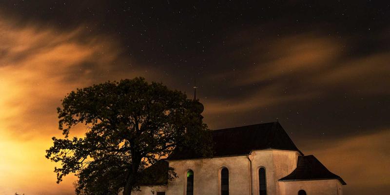 Biotechnology in Supplements: How Biotech Research Is Transforming Wellness