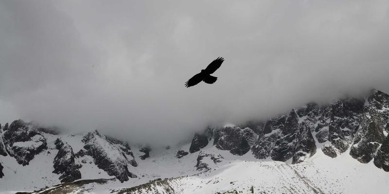 FIBIOS与生物技术革命：合成生物学如何重塑可持续化学品与天然健康产业