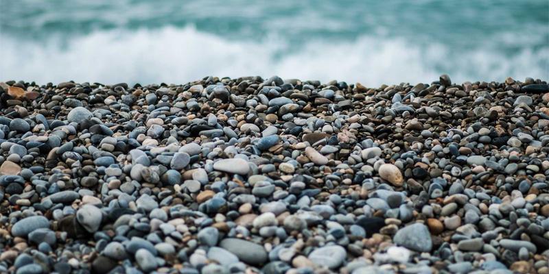 FIBIOS与生物科技革命：重新定义天然健康补充剂的未来