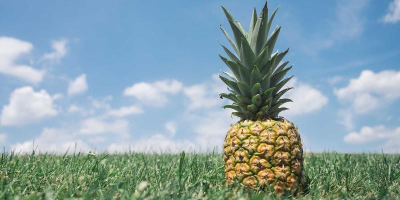 FIBIOS与自然健康:生物技术28时代如何重新定义健康产品