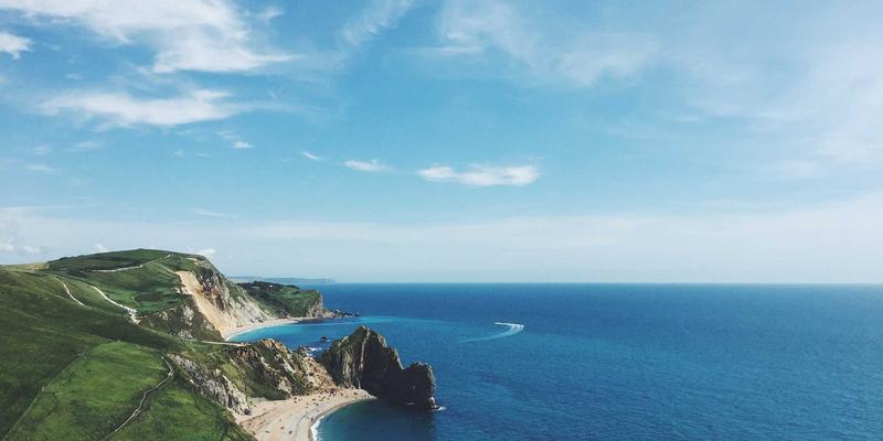 FIBIOS健康视角：组织工程与3D生物打印如何重塑人工器官的未来