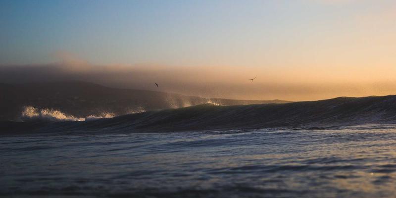 FIBIOS：生物科技如何重塑健康产品新未来