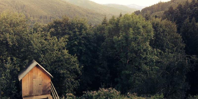 FIBIOS:生物科技如何重塑自然健康新范式