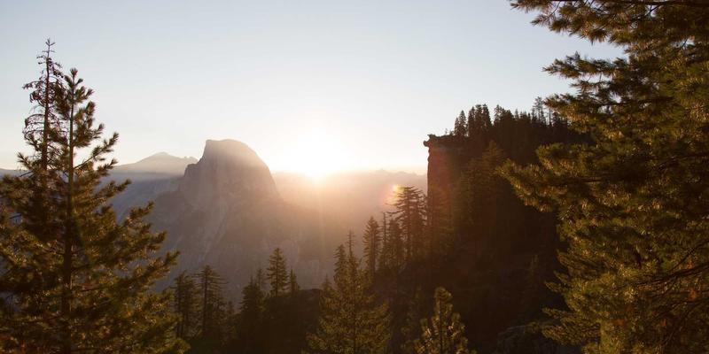 FIBIOS视角：生物仿制药的研发流程、市场机遇与监管壁垒深度解析