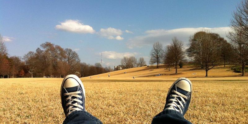 从实验室到农田：生物技术研究如何重塑健康农业新范式