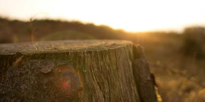 从实验室到生产线：AAV基因治疗载体的优化与规模化生产挑战