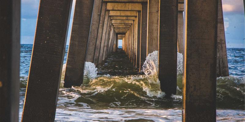 从实验室到生活：生物传感器如何重塑个性化营养与健康监测新纪元