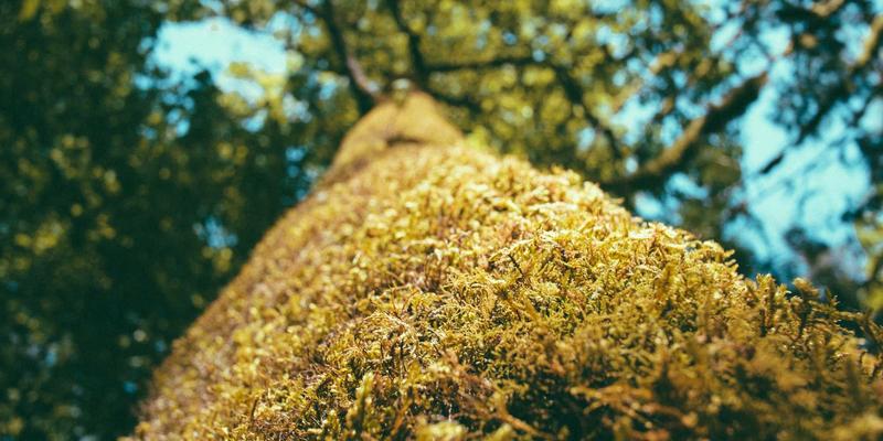 基因驱动技术：生物科技如何重塑疾病防控与全球健康产品格局