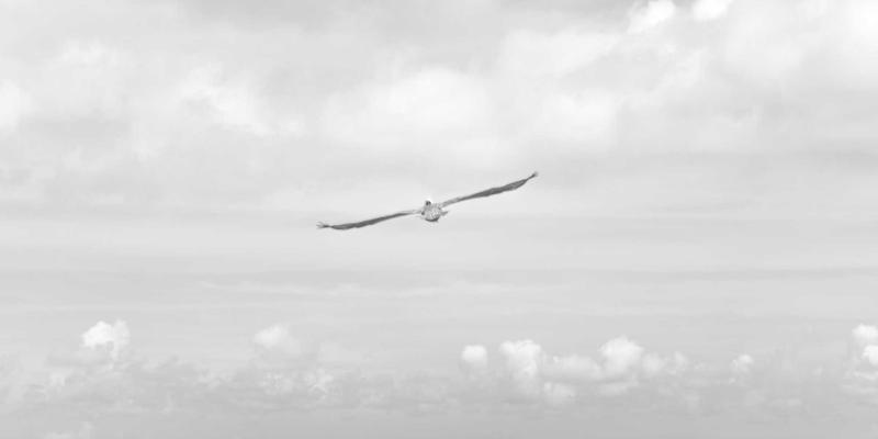 基因驱动技术：重塑健康产品与生态平衡的未来之路