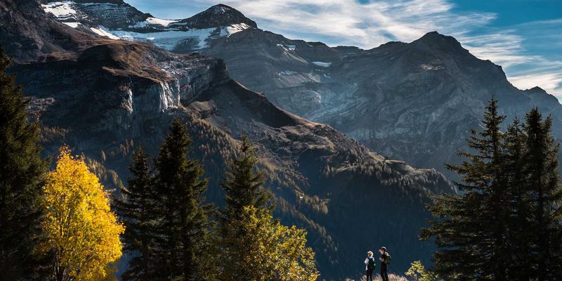 抗体偶联药物（ADC）优化策略：连接子技术如何提升肿瘤靶向递送效率与自然健康理念的融合
