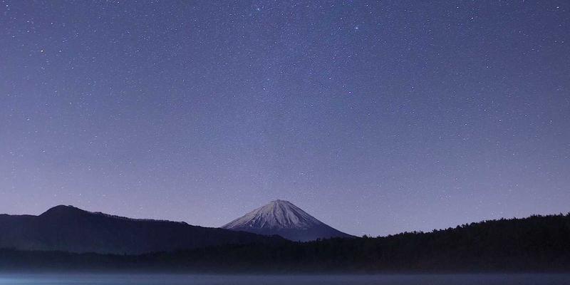 生物仿制药的全球市场格局与研发策略：自然健康与生物技术研究的交汇点