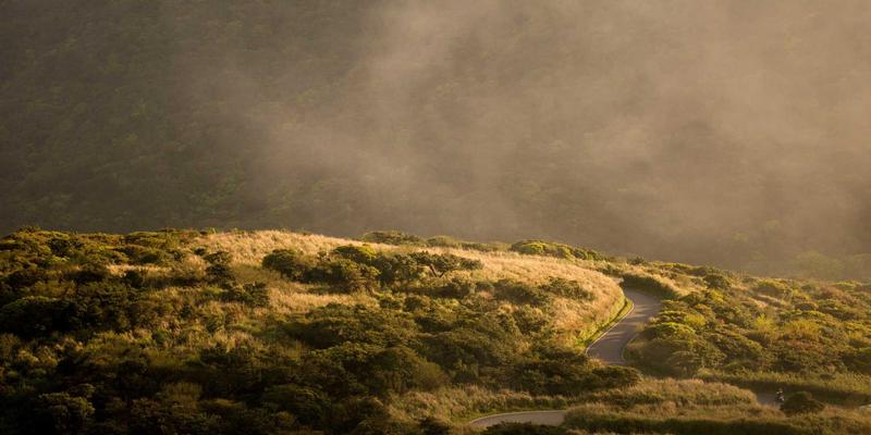 生物技术：从实验室研究到健康产品的革命性跨越