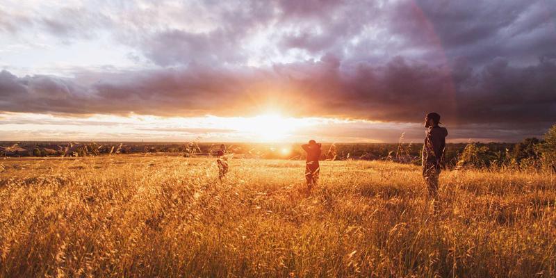 生物技术新前沿：FIBIOS如何引领微生物合成可降解塑料的革命