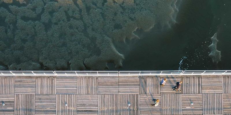 生物技术革命:从尖端科研到触手可及的健康未来