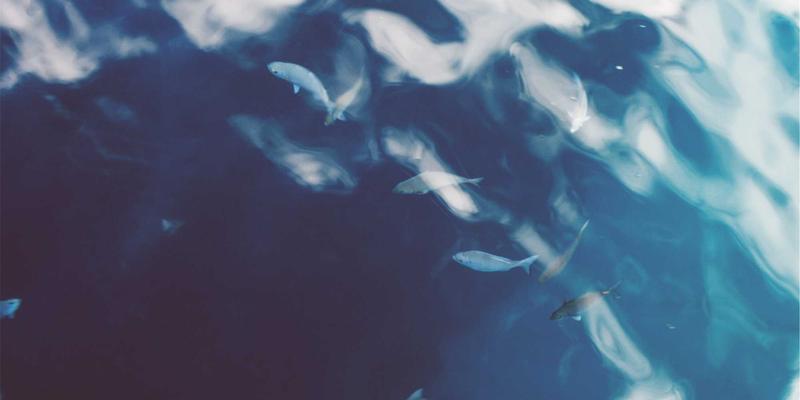 生物科技新纪元:从尖端研究到日常补充剂的健康革命
