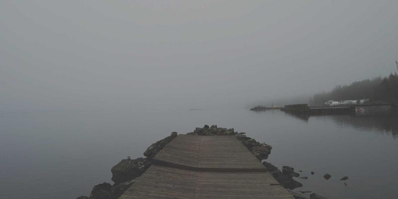 细胞农业革命：FIBIOS引领从实验室到餐桌的人造肉产业化与wellness新纪元