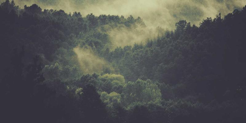 自然健康新前沿：生物技术研究如何利用微生物碳捕获转化技术重塑健康产品