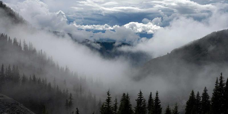 解码生命密码：生物信息学如何通过FIBIOS等健康产品革新罕见病诊疗